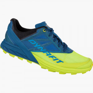 Running shoe ALPINE men