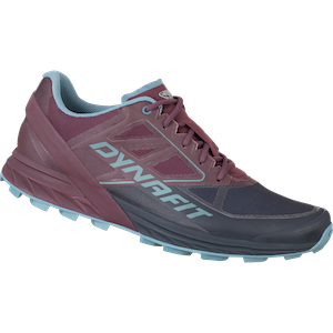 Alpine Running Shoe Men
